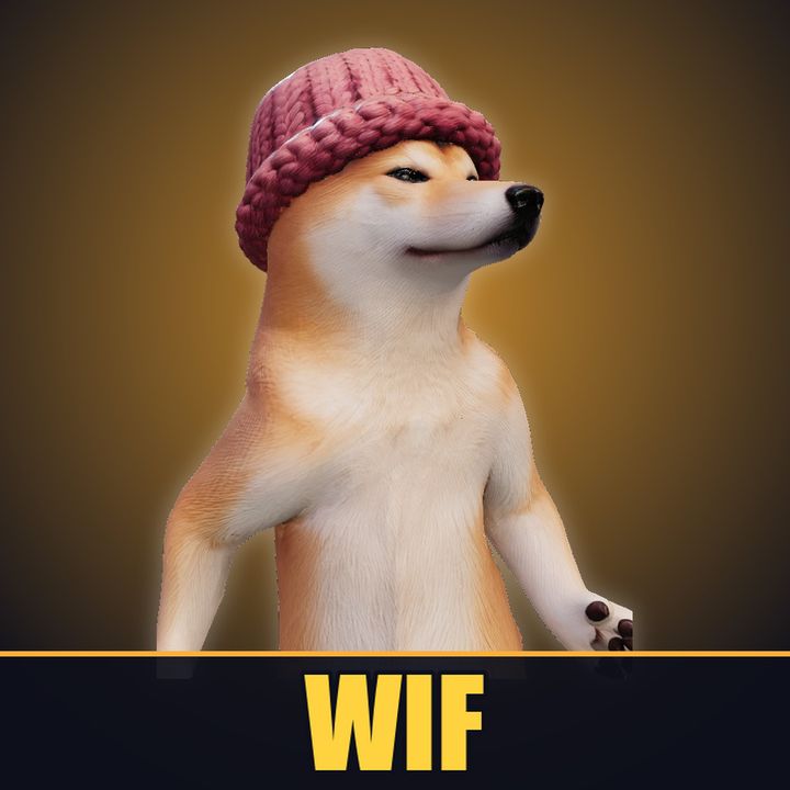 Wif, a Shiba Inu standing upright in a pink knit beanie